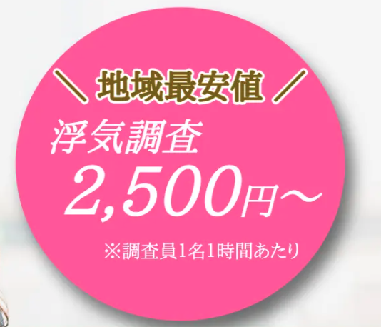 総合探偵社radの最安調査料金